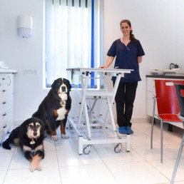 le docteur caroline gronlier du cabinet vétérinaire des deux lacs s'occupe de vos compagnons à poils